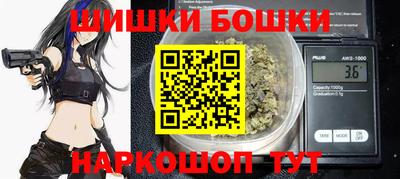 амф Камышлов