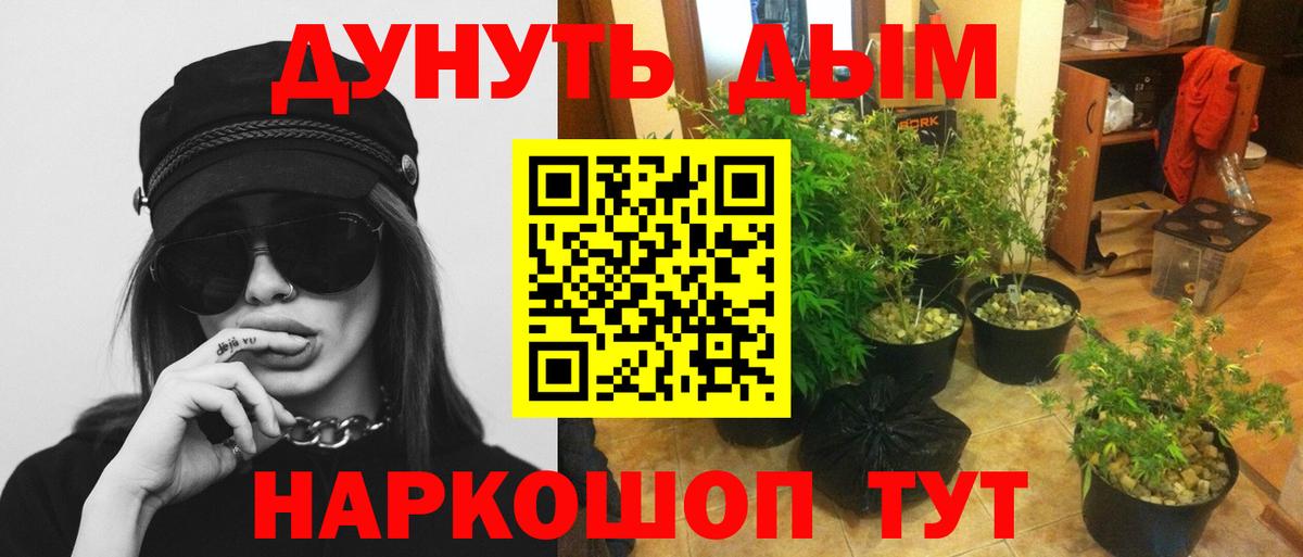 Костомукша  Бошки Шишки гибрид  Вход с VPN  Каннабис семена 